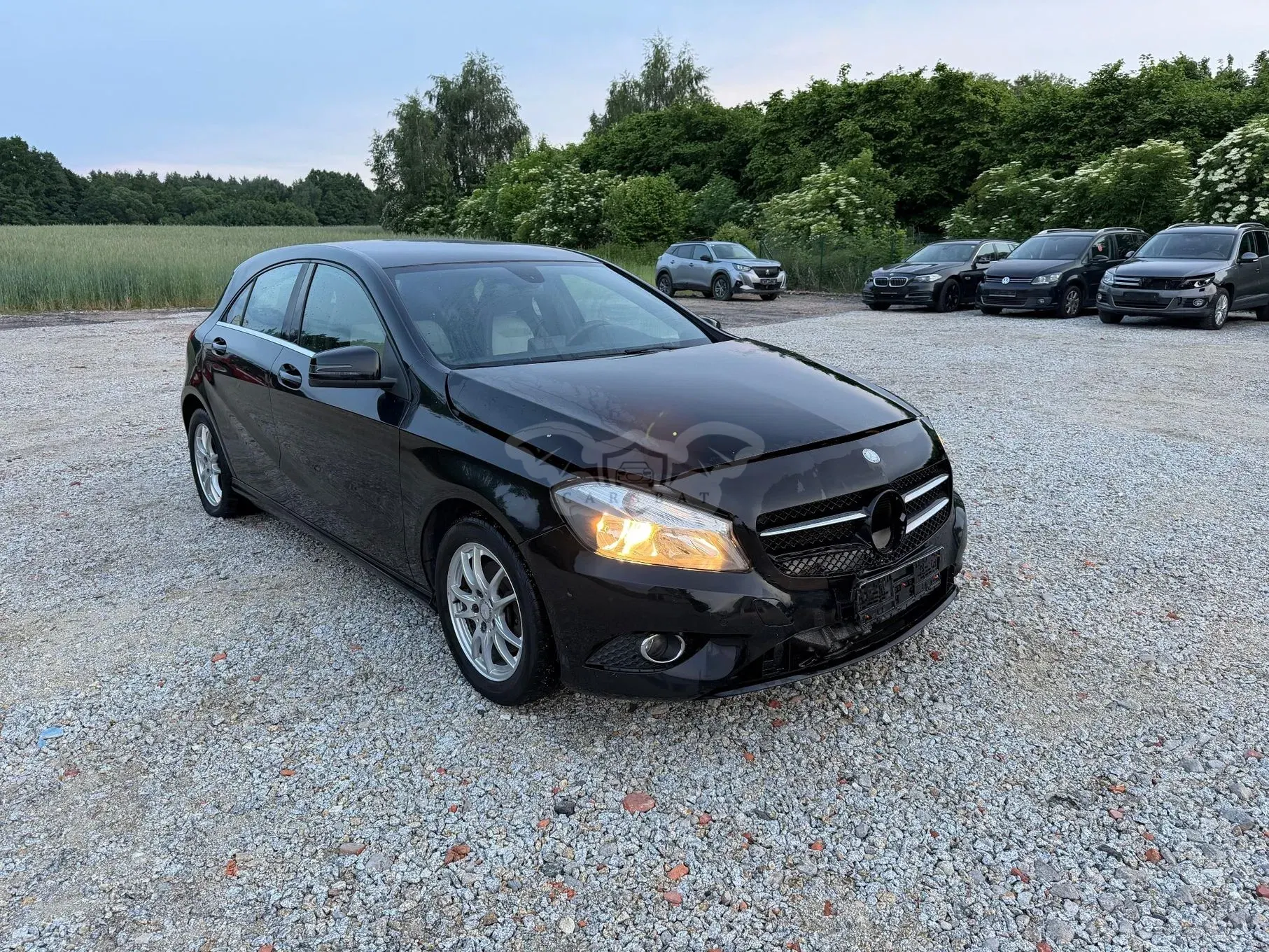 Mercedes-Benz A W176 2013