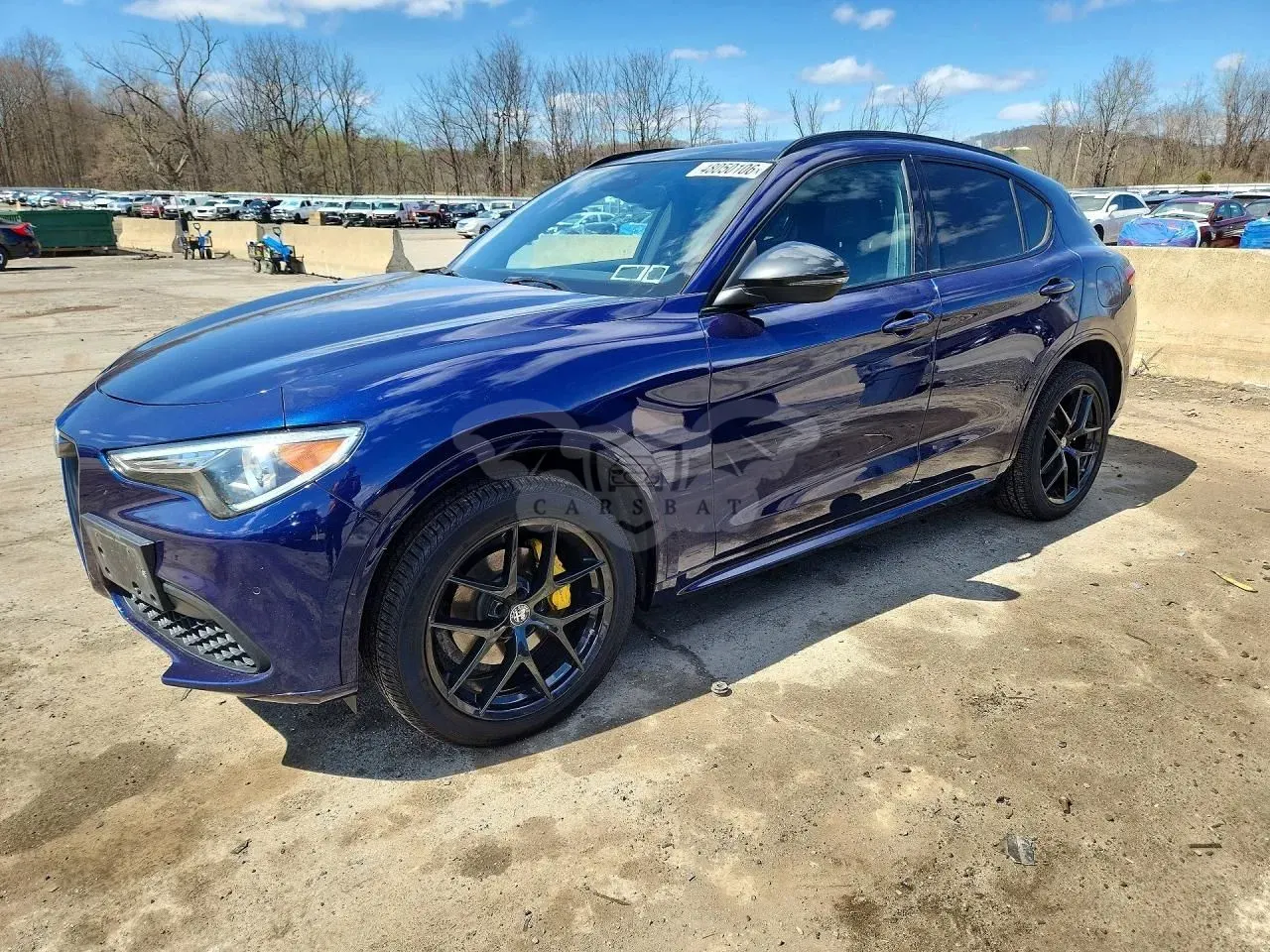 Alfa Romeo Stelvio 2.0 Turbo Veloce TI Q4 2020