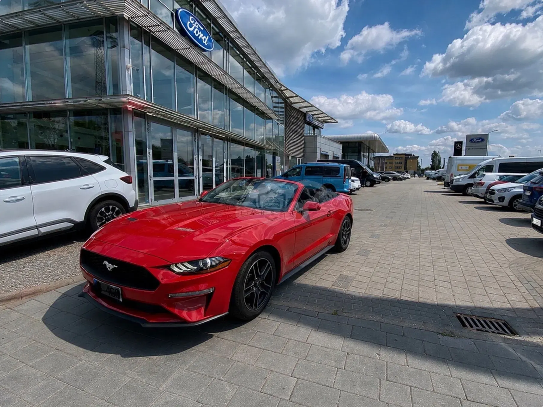 Ford Mustang Cabrio 2.3 Eco Boost 2023
