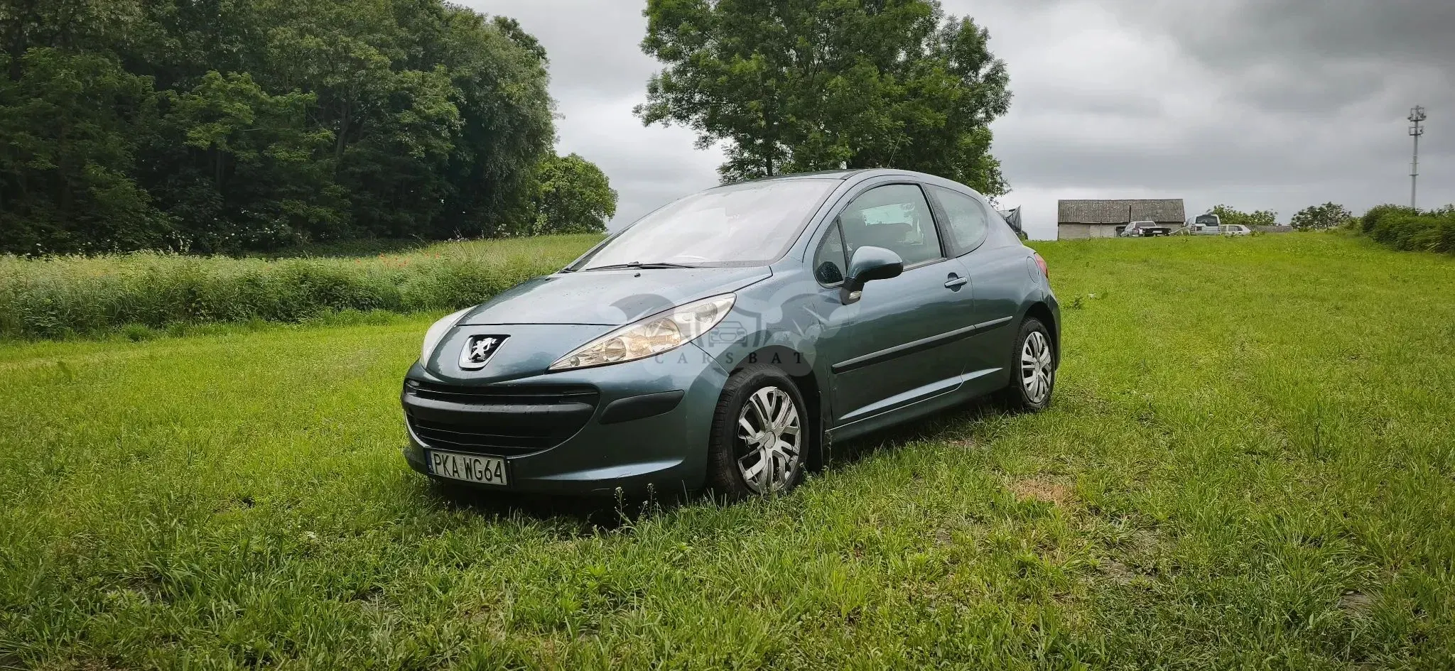 Peugeot 207 90 HDi FAP (Blue Lion) Filou 2006