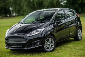 Ford Fiesta Mk7 2013