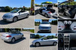 Peugeot 307 2004