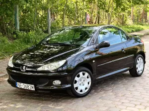 Peugeot 206 1.6 Euro4 2006