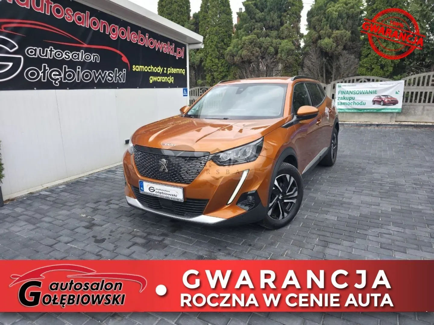 Peugeot 2008 II 2020