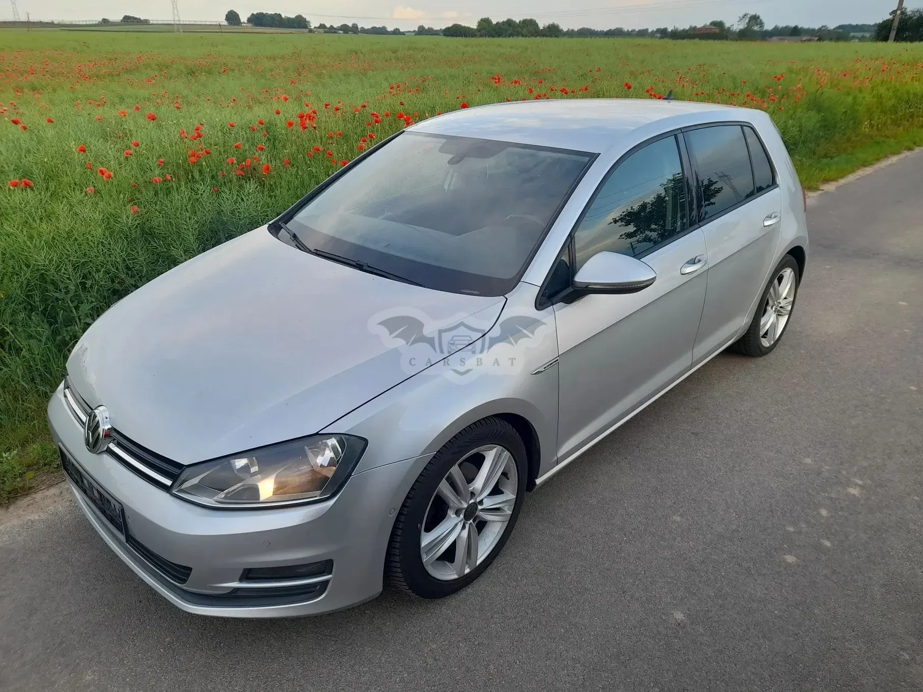 Volkswagen Golf VII 1.6 TDI BlueMotion Trendline 2014