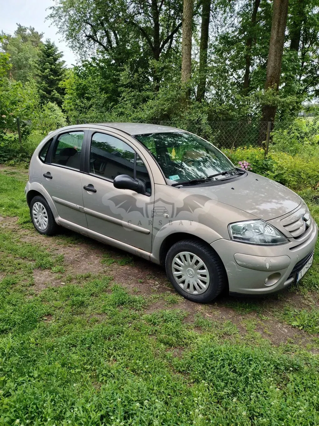 Citroën C3 II (2008-2018) 1.4i Furio 2008