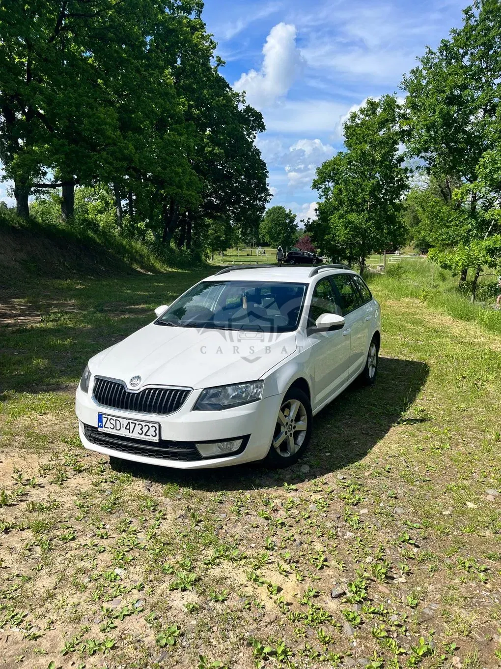 Skoda Octavia III 2.0 TDI Joy DSG 2013