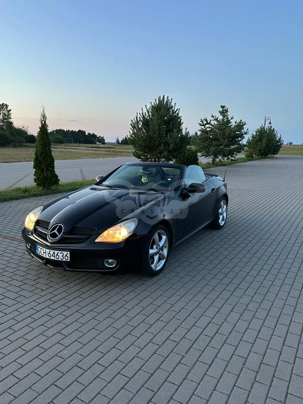 Mercedes-Benz SLK R171 2010