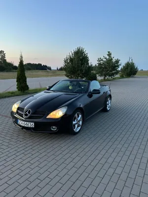 Mercedes-Benz SLK R171 2010
