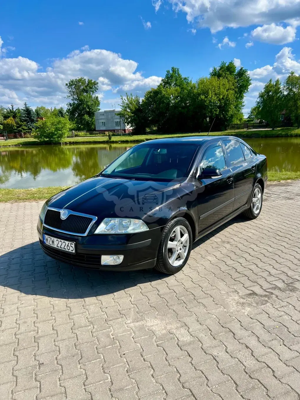 Skoda Octavia II 1.9 TDI Elegance 2004