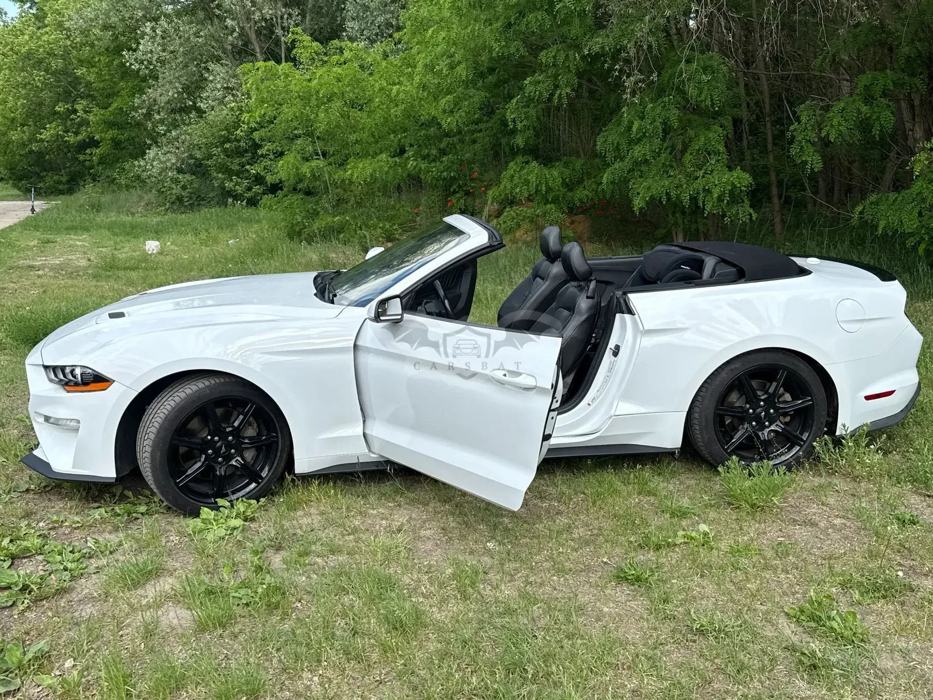 Ford Mustang 5.0 V8 Mach 1 2020