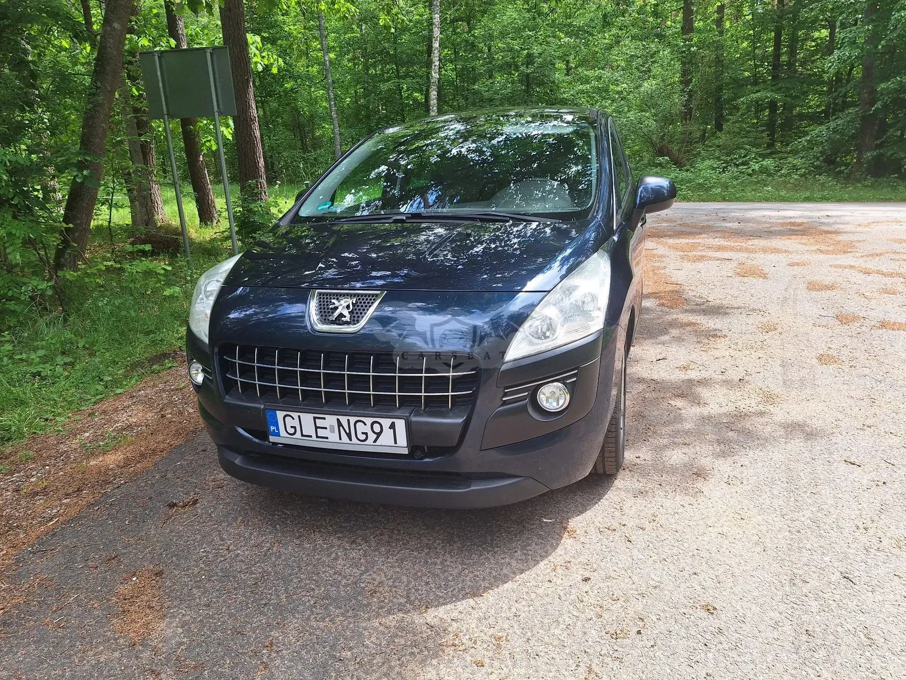 Peugeot 3008 I 2010