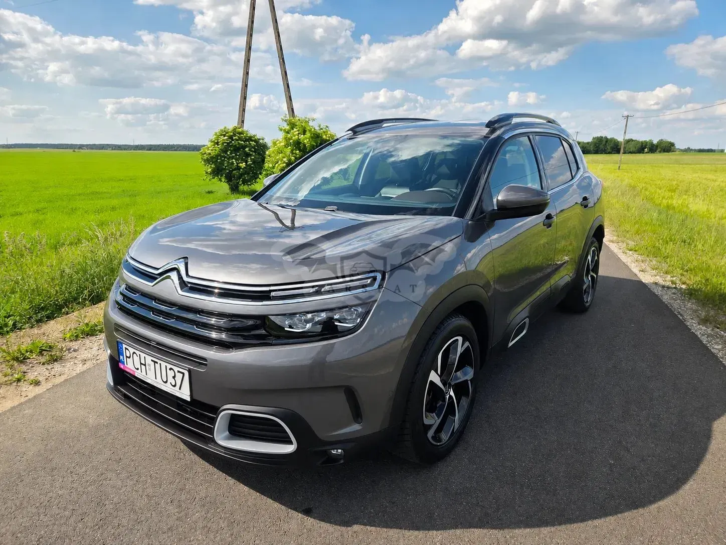 Citroën C5 Aircross 2.0 BlueHDi Shine EAT8 2019
