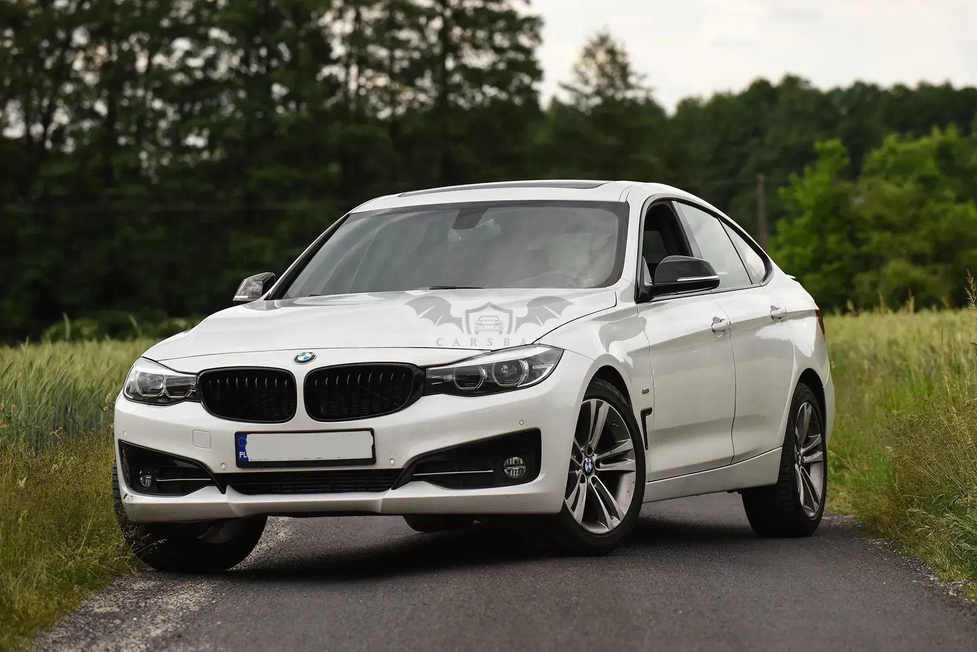 BMW 3 Series F34 318d Sport Line 2017