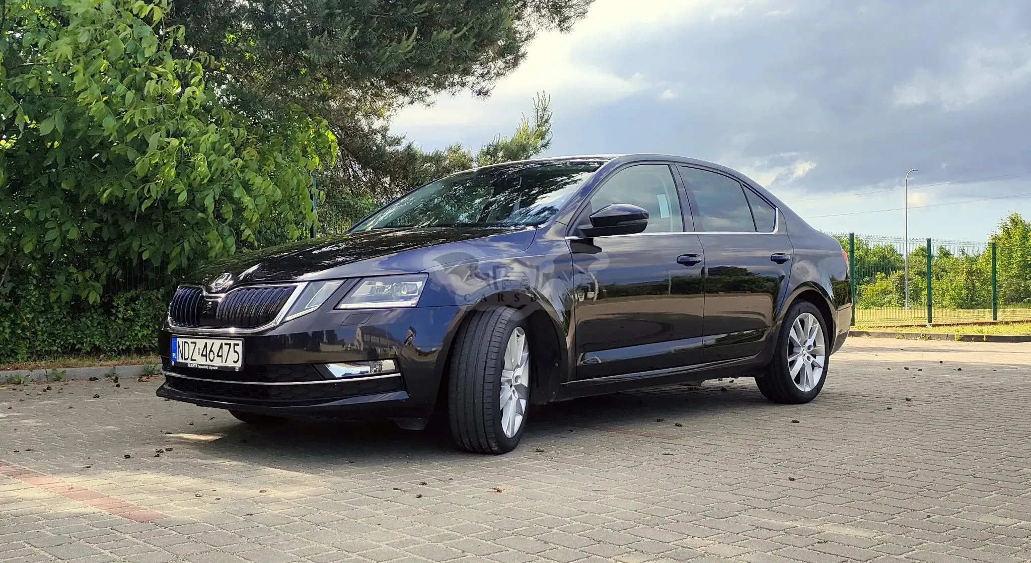 Skoda Octavia III 1.5 TSI GPF ACT Style 2019