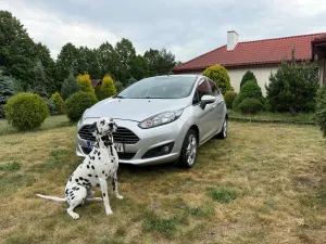 Ford Fiesta Mk7 2015