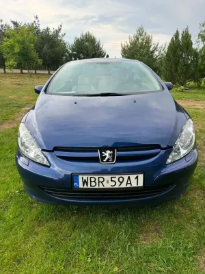 Peugeot 307 I 2004