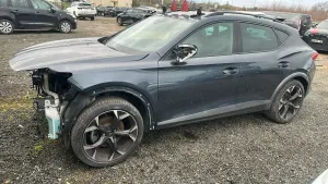 Cupra Formentor 1.5 TSI DSG Tribe Edition 2022