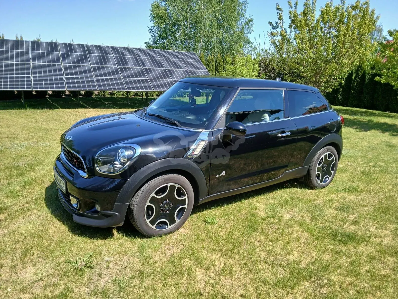 Mini Paceman 2013