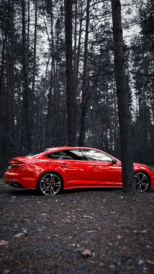 Audi A5 F5 45 TFSI mHEV Quattro S tronic 2024