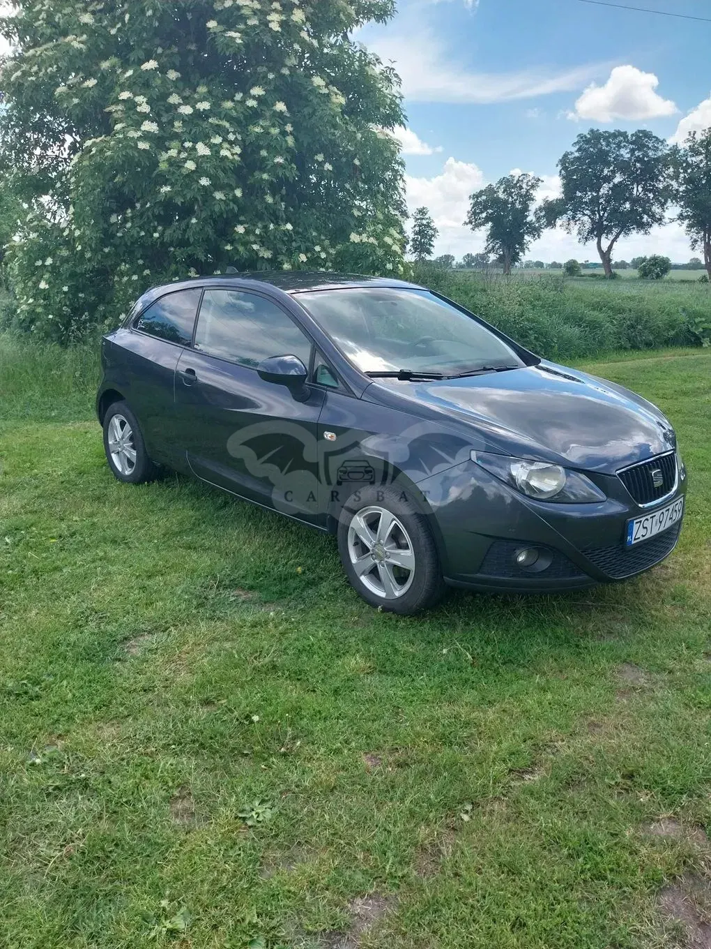 Seat Ibiza IV 2010