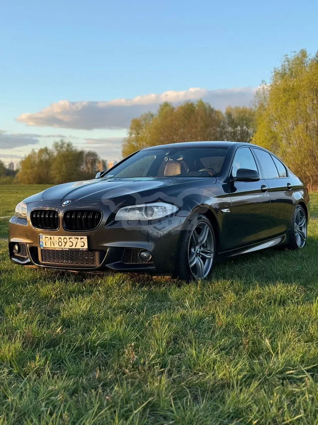 BMW 5 Series F10/F11 2013