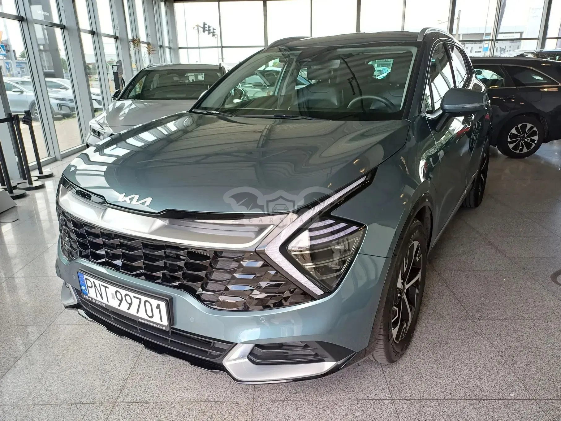 Kia Sportage V 1.6 T-GDI Business Line 2WD 2023