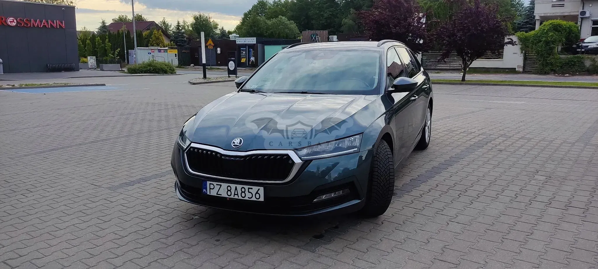 Skoda Octavia IV 2.0 TDI Ambition 2020