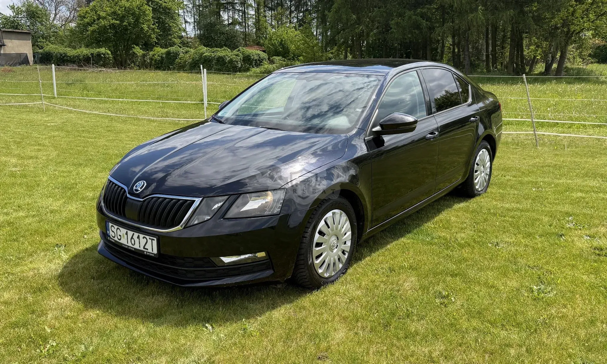 Skoda Octavia III 2.0 TDI Ambition DSG EU6 2017