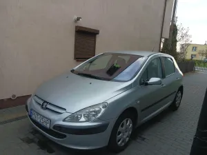 Peugeot 307 I 1.6 2004