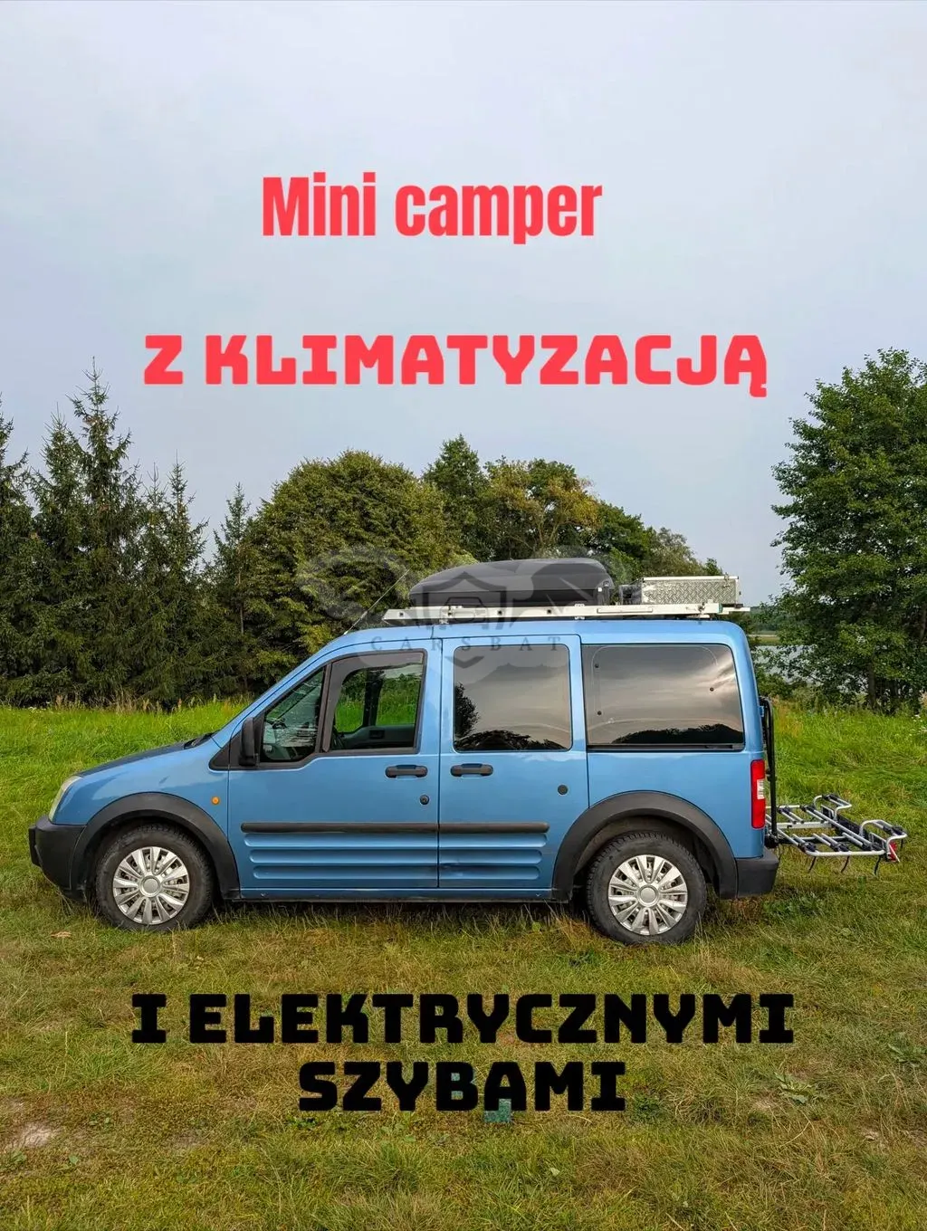 Ford Tourneo Connect I (2002-2013) 2004