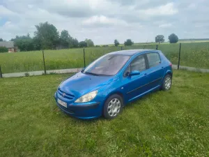 Peugeot 307 I 1.6 2003