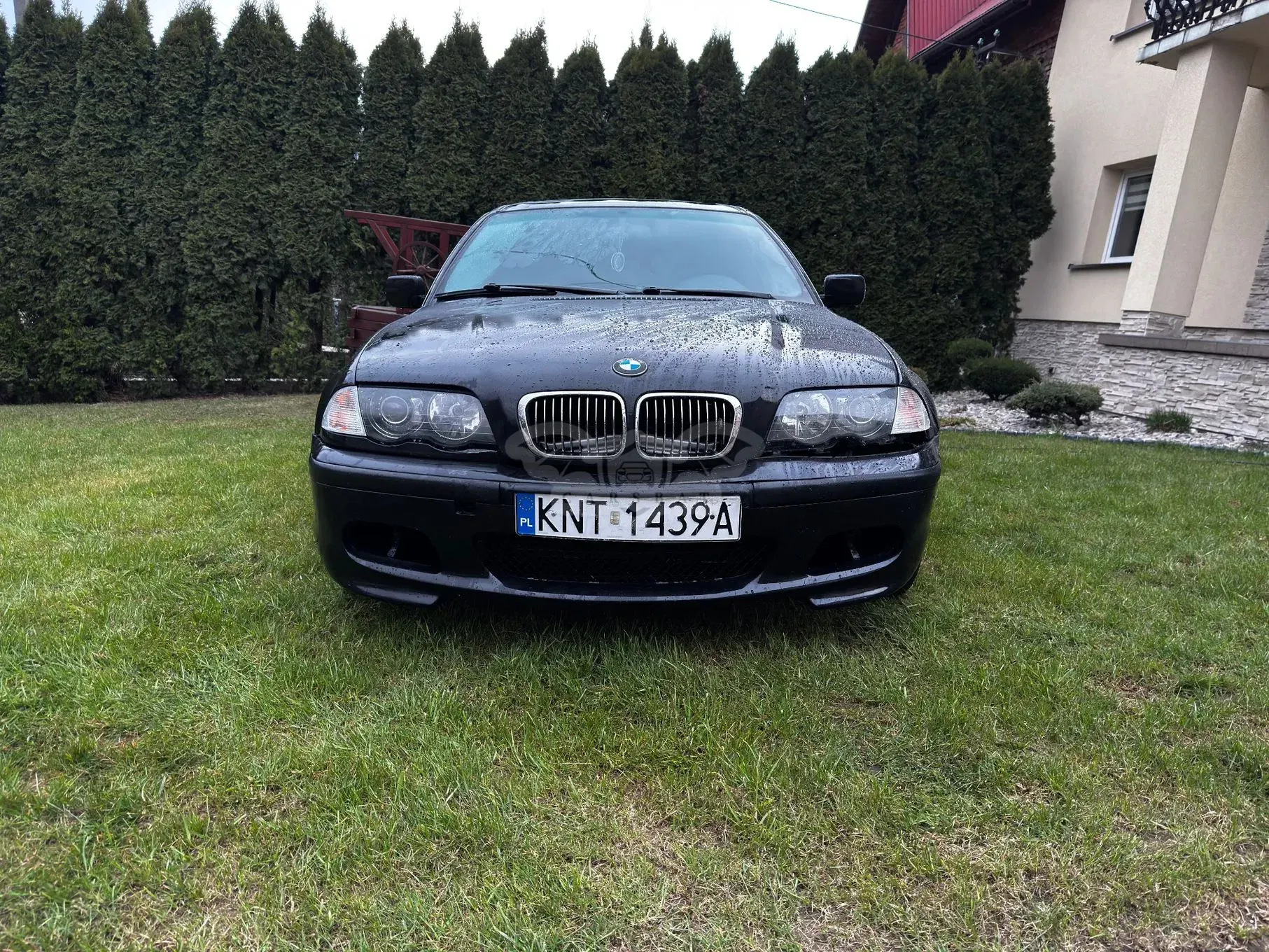 BMW 3 Series E46 1998