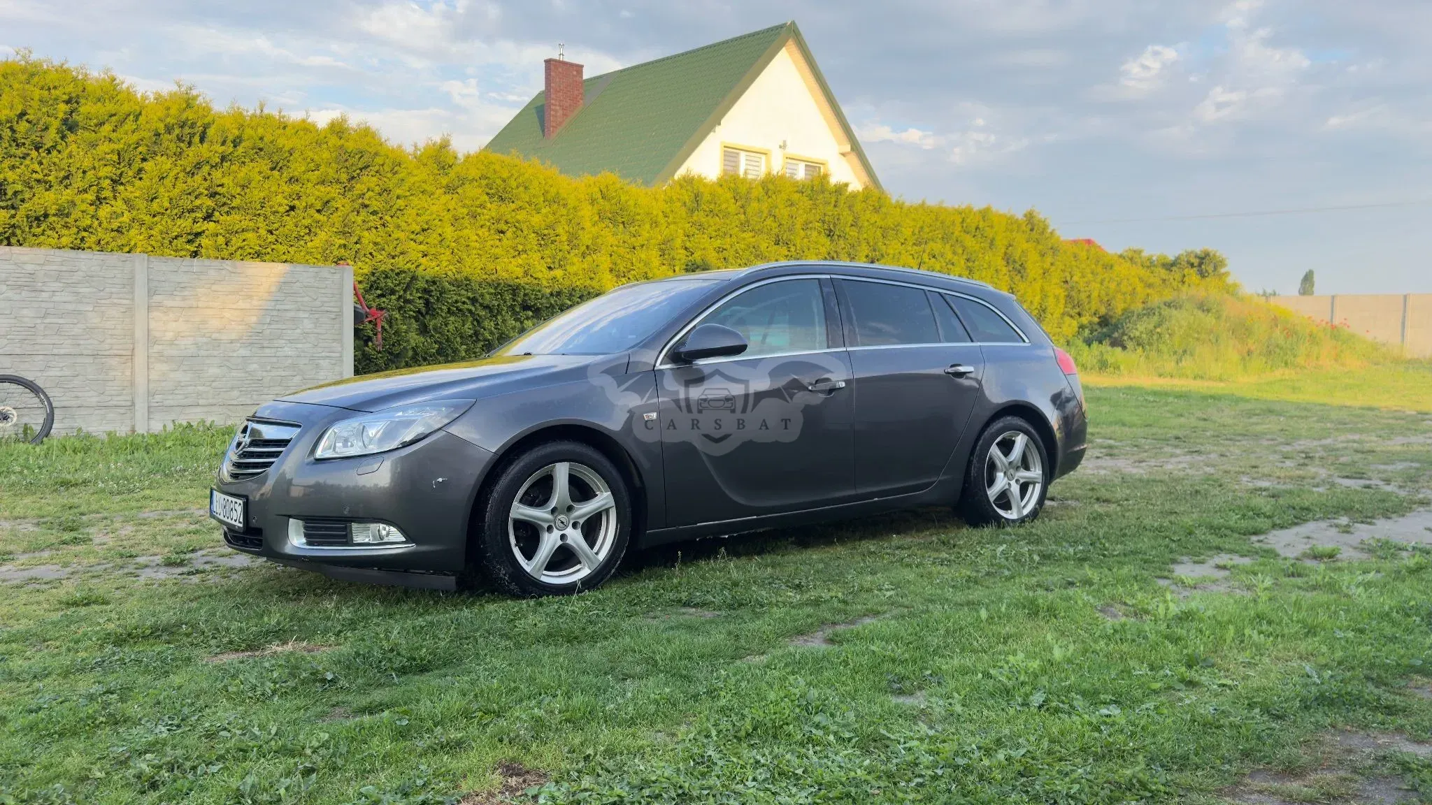 Opel Insignia A 2.0 CDTI ecoFLEX Business Cosmo 2010