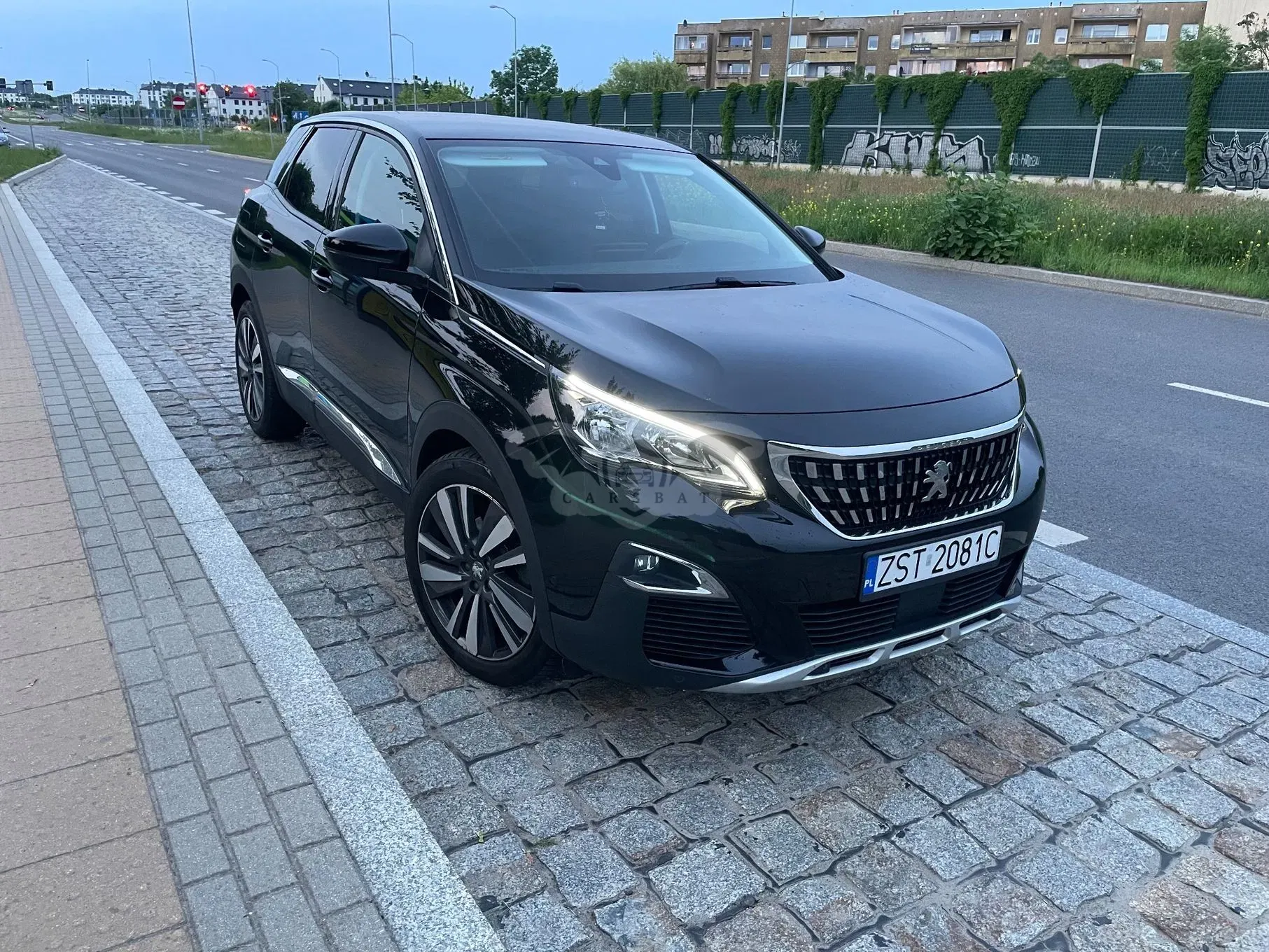 Peugeot 3008 II 2018