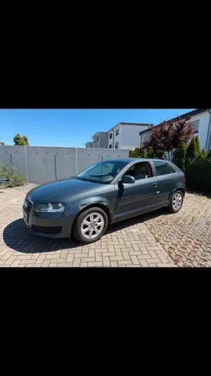 Audi A3 8P 1.6 Attraction 2009