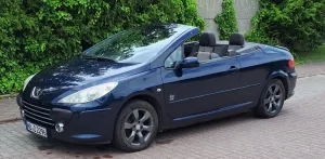 Peugeot 307 2.0 2006
