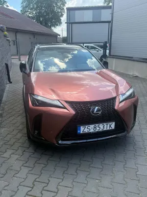 Lexus UX 300h F Sport Design AWD 2024