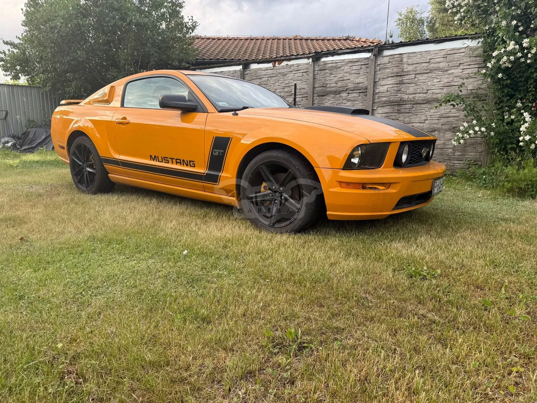 Ford Mustang 4.6 V8 GT 2007