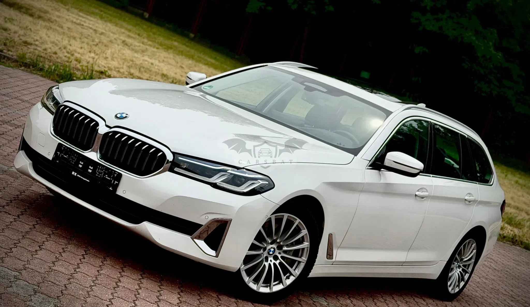 BMW 5 Series G30/G31 530d xDrive mHEV Luxury Line 2020