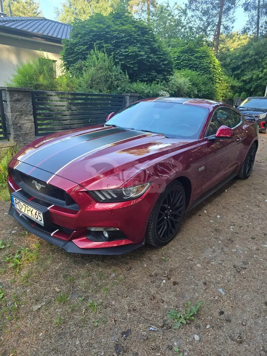 Ford Mustang 5.0 Ti-VCT V8 GT 2016