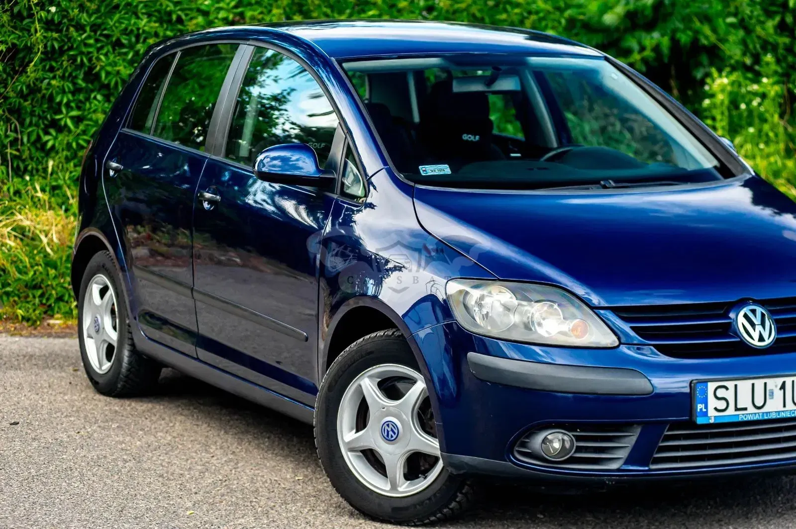 Volkswagen Golf Plus I 1.6 FSI Trendline 2005
