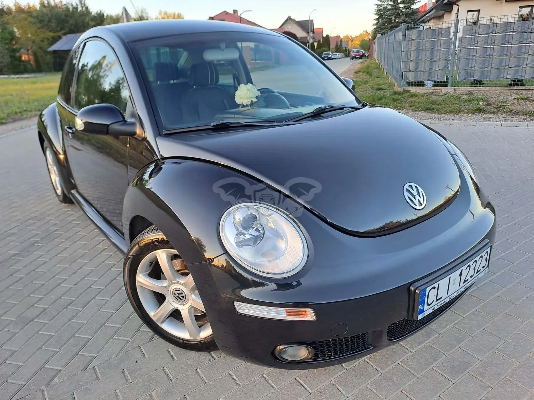 Volkswagen Beetle 1.9 TDI 2010