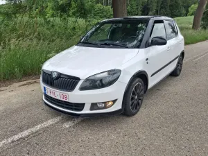 Skoda Fabia II 1.6 TDI DPF Best of 2013