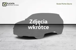 Cupra Ateca 2024