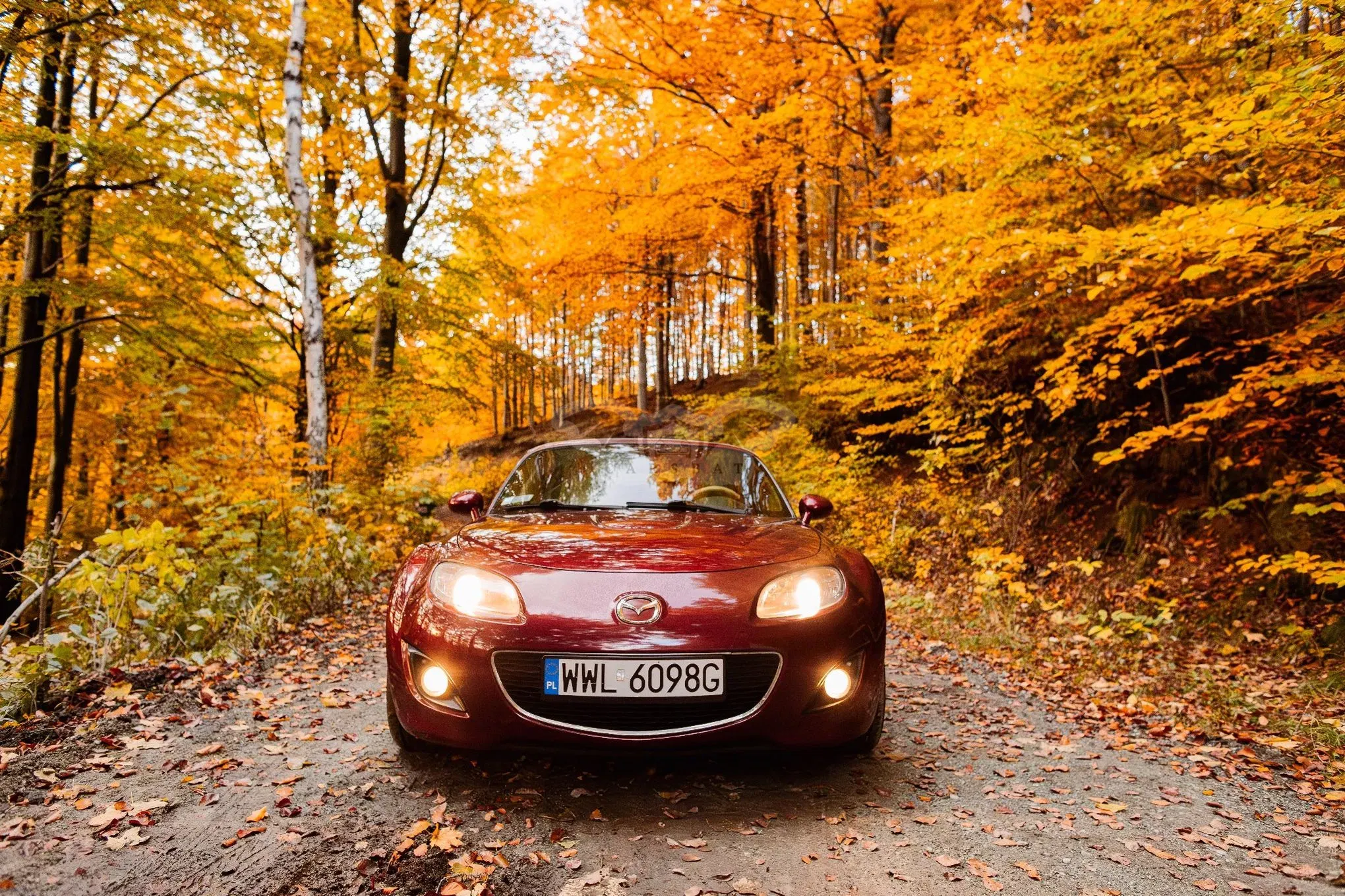 Mazda MX-5 (Miata) 2.0 Sport 2008
