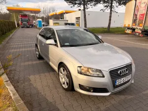 Audi A3 8P 1.9 TDI DPF Attraction 2008