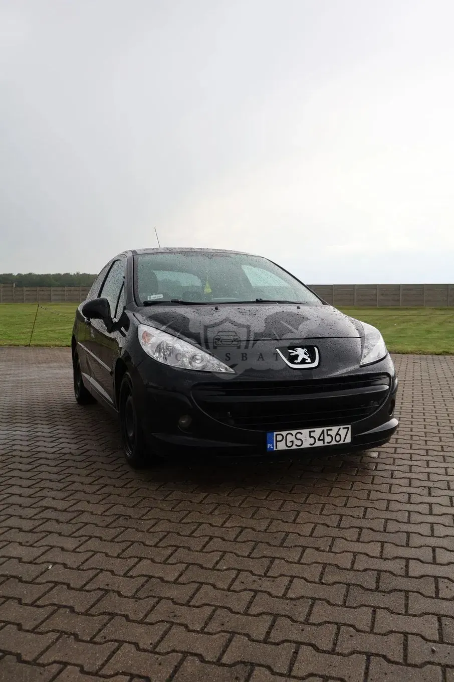 Peugeot 207 2009