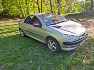 Peugeot 206 2001