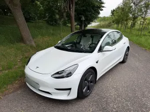 Tesla Model 3 Standard Range Plus 2021